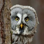 Картинка профиля