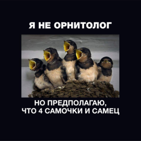 Аватар (Екатерина Рахманова)