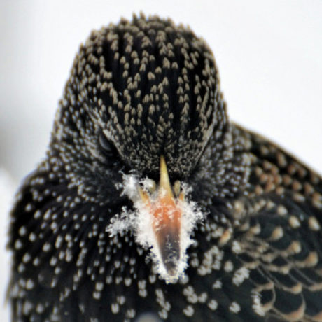 Аватар (Виталий Соколовский)