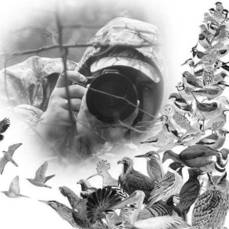 Аватар (Андрей Шевчик)