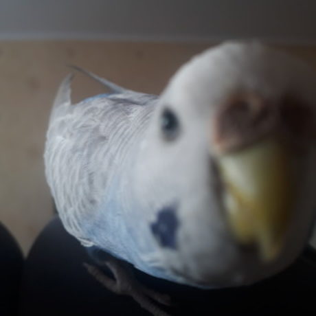 Аватар (Якубашко Анастасия Игоревна)